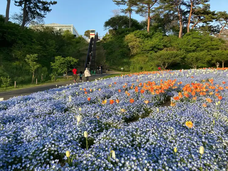 Hotels near Hamamatsu Flower Park