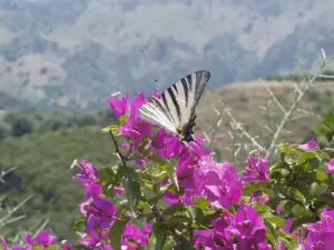 Botanical Park & Gardens Of Crete.