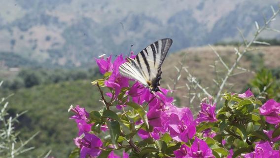 Botanical Park & Gardens Of Crete.