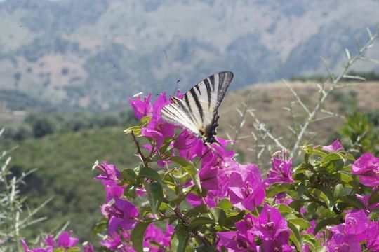 Botanical Garden of Crete