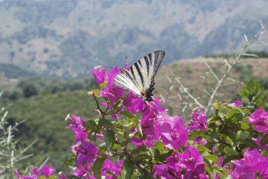 Botanical Garden of Crete