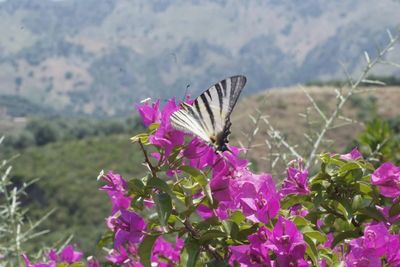 Botanical Garden of Crete