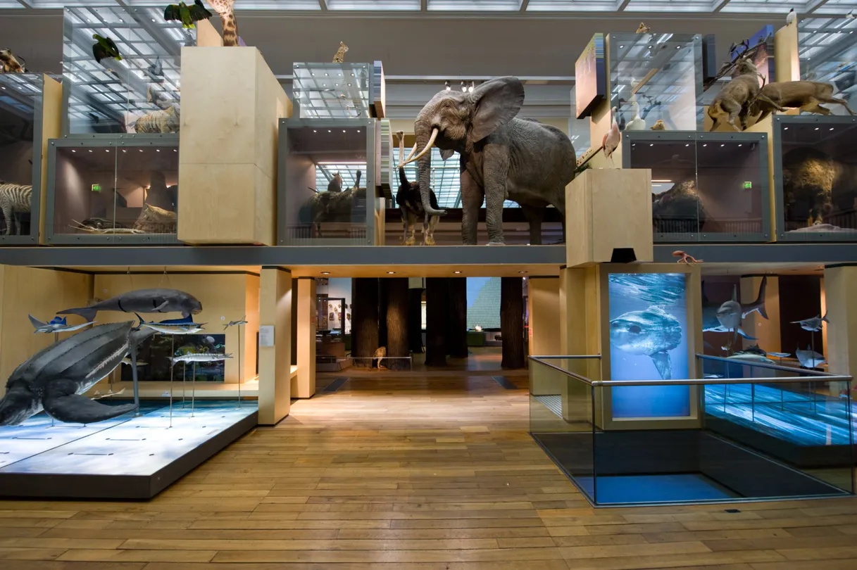 3_Great North Museum: Hancock