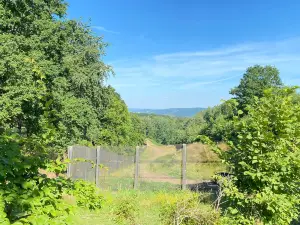 Grenzmuseum "Schifflersgrund"