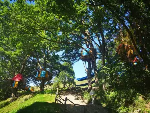 Bois des Lutins Lyon-est Diemoz