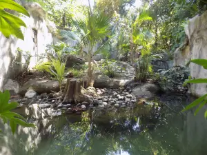 Zoologico Payo Obispo