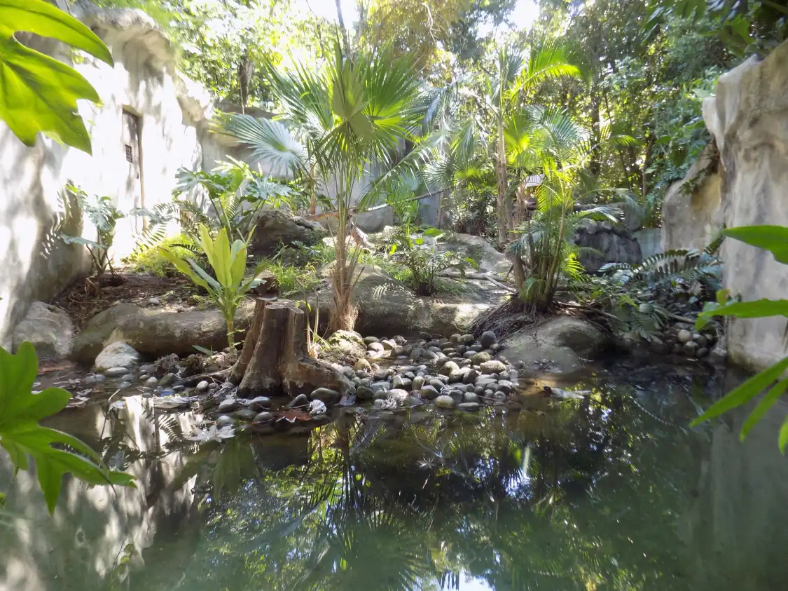Hotels near Zoologico Payo Obispo