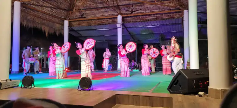 Hotels in Hatikhuli T.E.
