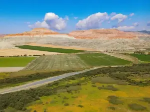Nallıhan Bird Sanctuary
