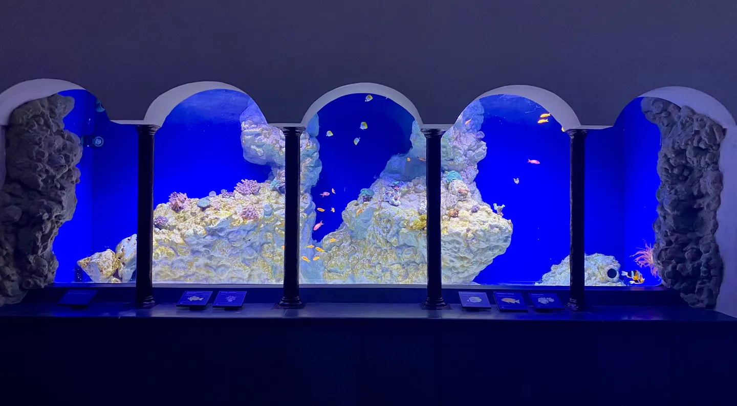 2_Aquarium of Naples
