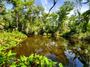 Big Cypress National Preserve