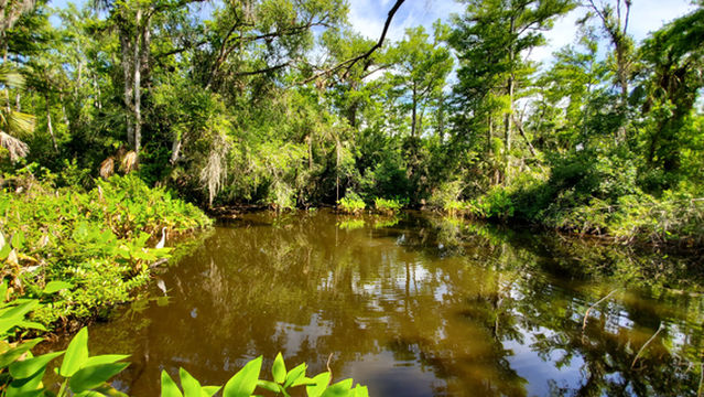 Big Cypress National Preserve