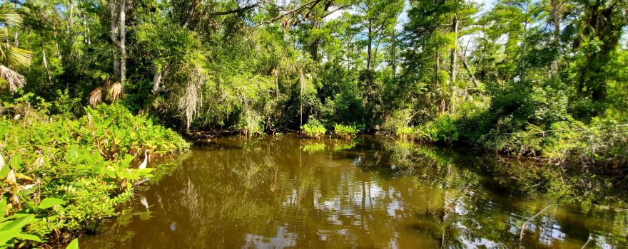 Big Cypress National Preserve