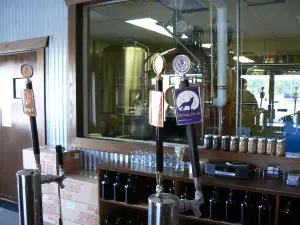 Evolution Craft Brewing Co. & Public House