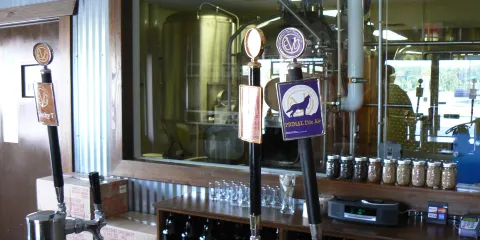 Evolution Craft Brewing Company