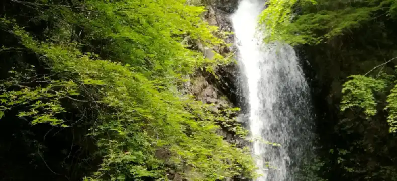 伊賀市のホテル