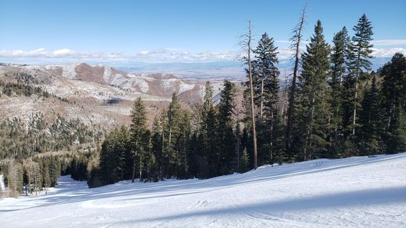 Pajarito Mountain Ski Area