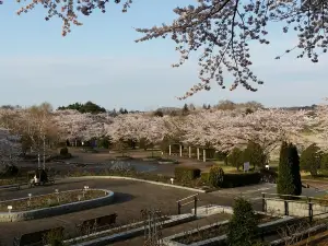 Hachinohe Park Children's World