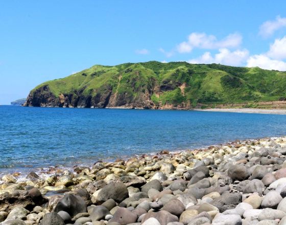 巴示戈 自由行套票