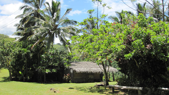 Arai-Te-Tonga