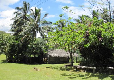 Arai-Te-Tonga