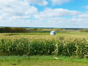 Bowden SunMaze & Eagle Creek Farms