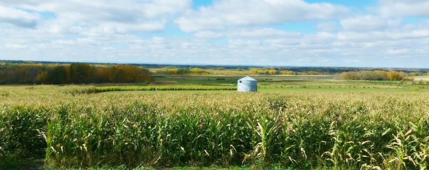 Bowden SunMaze & Eagle Creek Farms