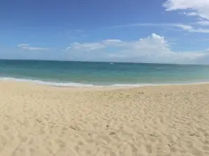 Golden Beach (Playa Dorada)