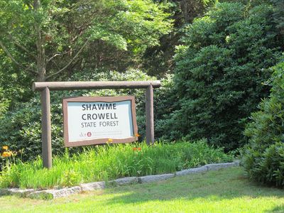 Shawme-Crowell State Forest