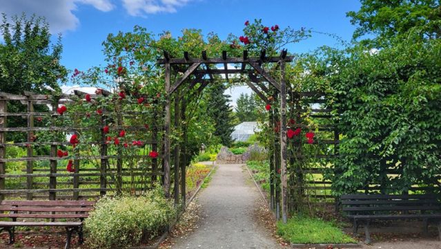 Botanischer Garten Chemnitz