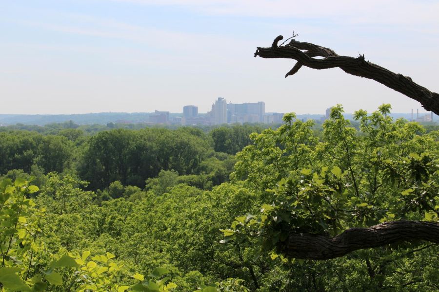 Voli Great Falls Rochester
