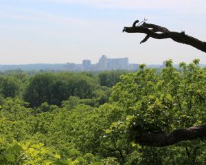 香港-羅切斯特 機票酒店 自由行