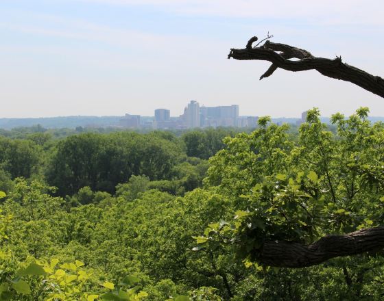羅切斯特 自由行套票