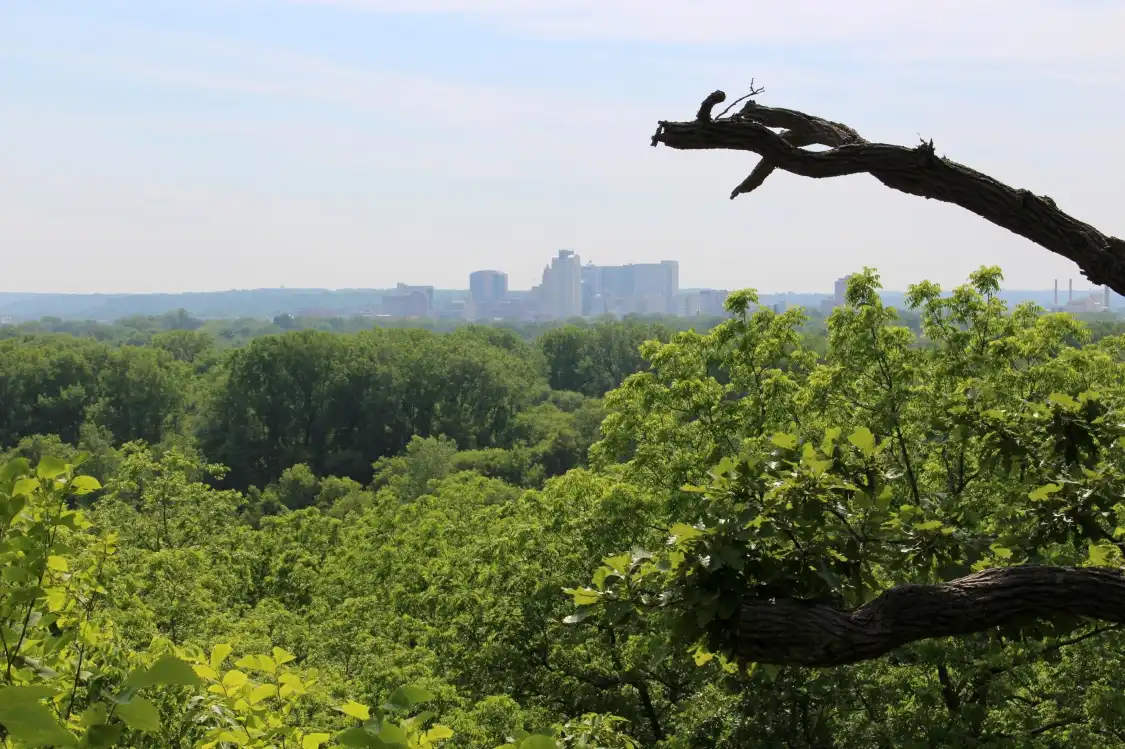 Hotels near Quarry Hill Nature Center
