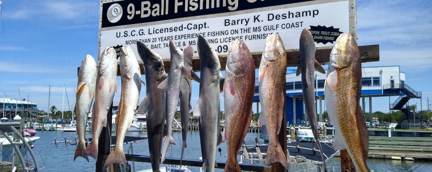 9-Ball Fishing Charters