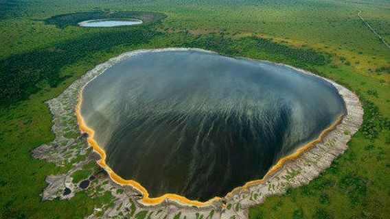 Gorillas and Wildlife Safaris