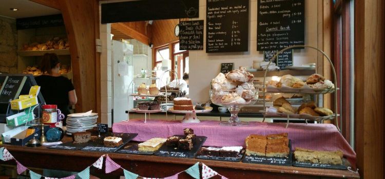 Chessell Pottery Cafe