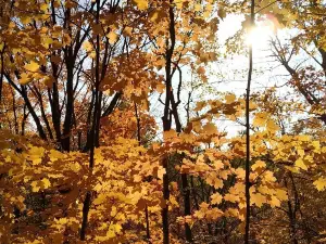 Hockley Valley Provincial Nature Reserve