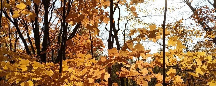 Hockley Valley Provincial Nature Reserve