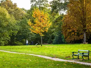 Acton Park