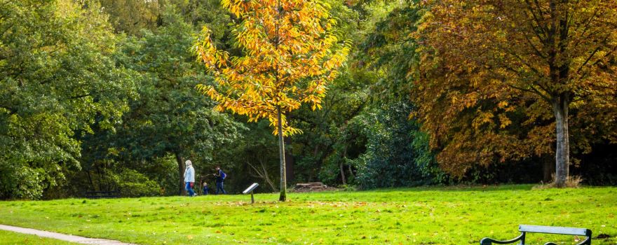 Acton Park
