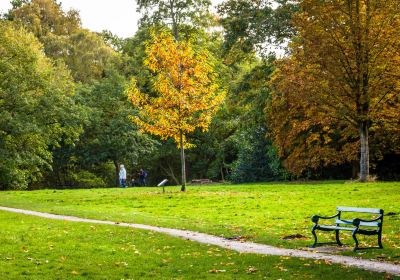 Acton Park