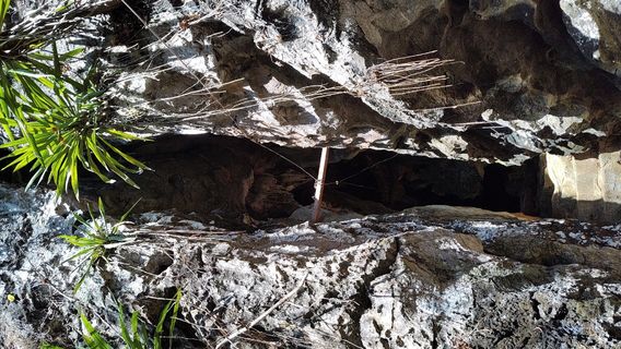 Tham Pha Tup Forest Park