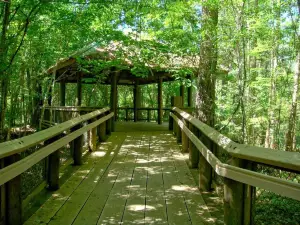 Northlake Nature Center
