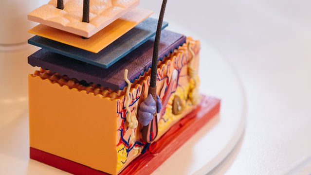 FACE | Body & Beauty