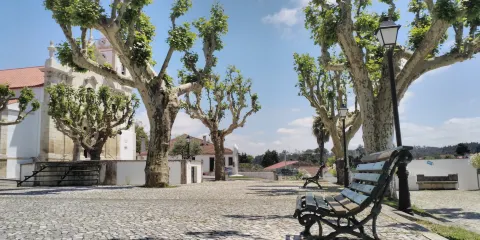 Terreiro do Paco Garden