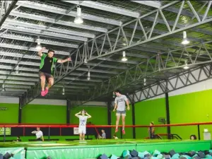 Flip Out Stoke
