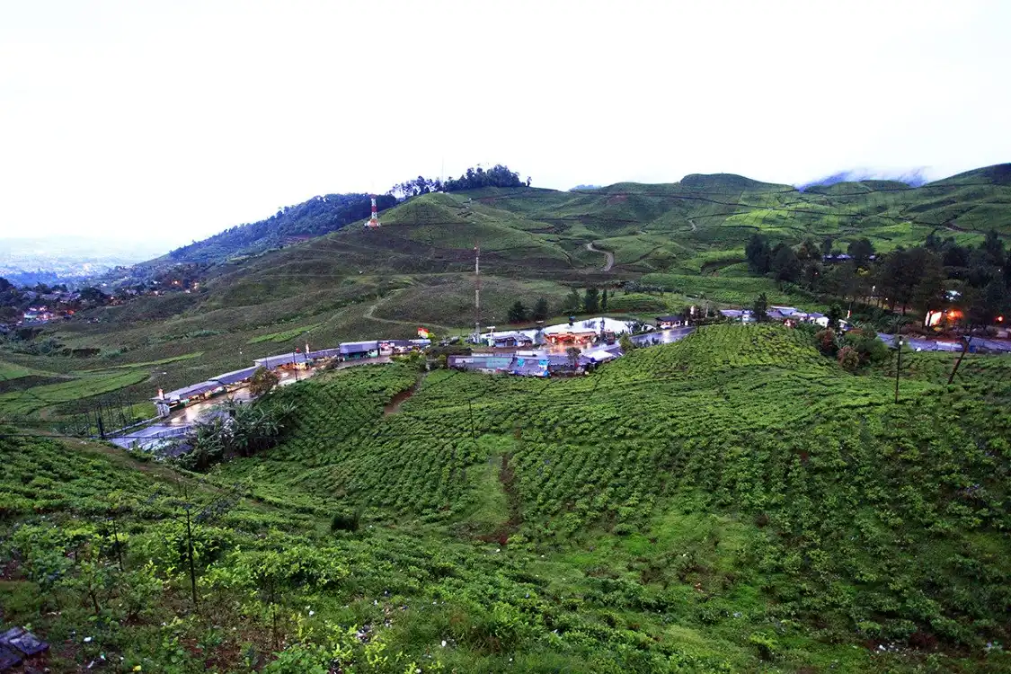 Hotels near Agrowisata GUNUNG MAS Kebun Teh Walini