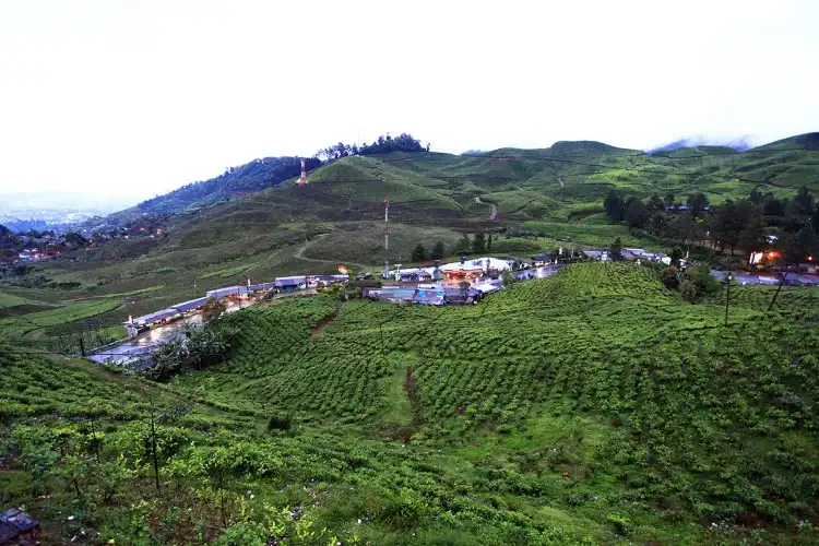 Hotels near Agrowisata GUNUNG MAS Kebun Teh Walini