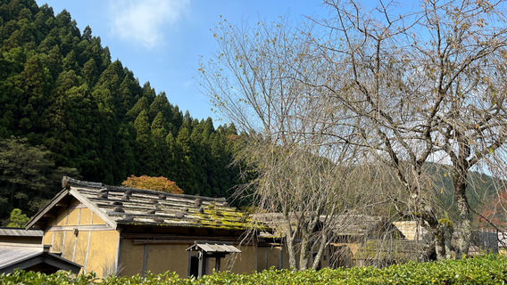 Ichijodani Restored Townscape